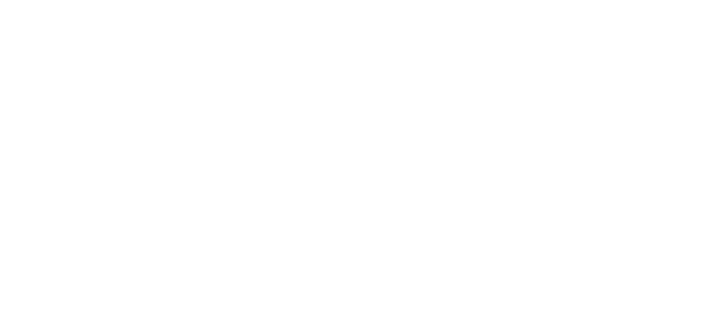 au coeur des celtes logo chamanisme